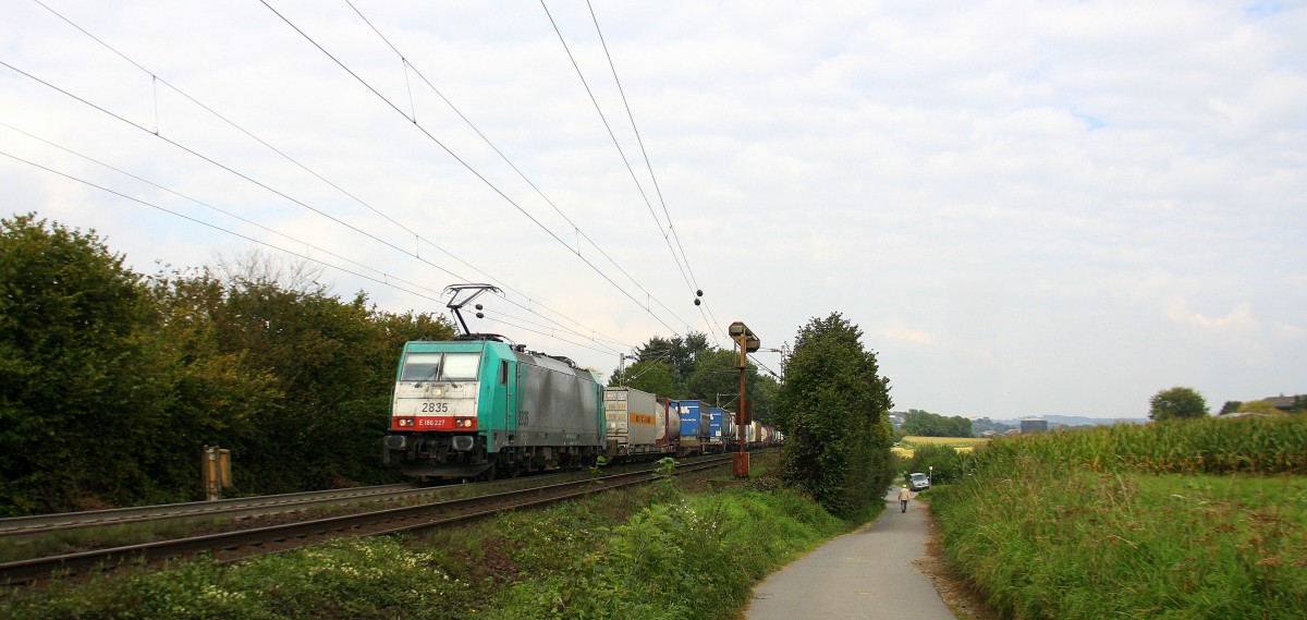 Die Cobra 2835 kommt aus Richtung Aachen-West und fährt die Gemmenicher-Rampe hochgefahren mit einem langen Containerzug aus Gallarate(I) nach Antwerpen-Oorderen(B) und fährt in Richtung Montzen/Belgien. 
Aufgenommen an der Montzenroute am Gemmenicher-Weg bei Sonne und Wolken am Nachmittag vom 14.9.2014.