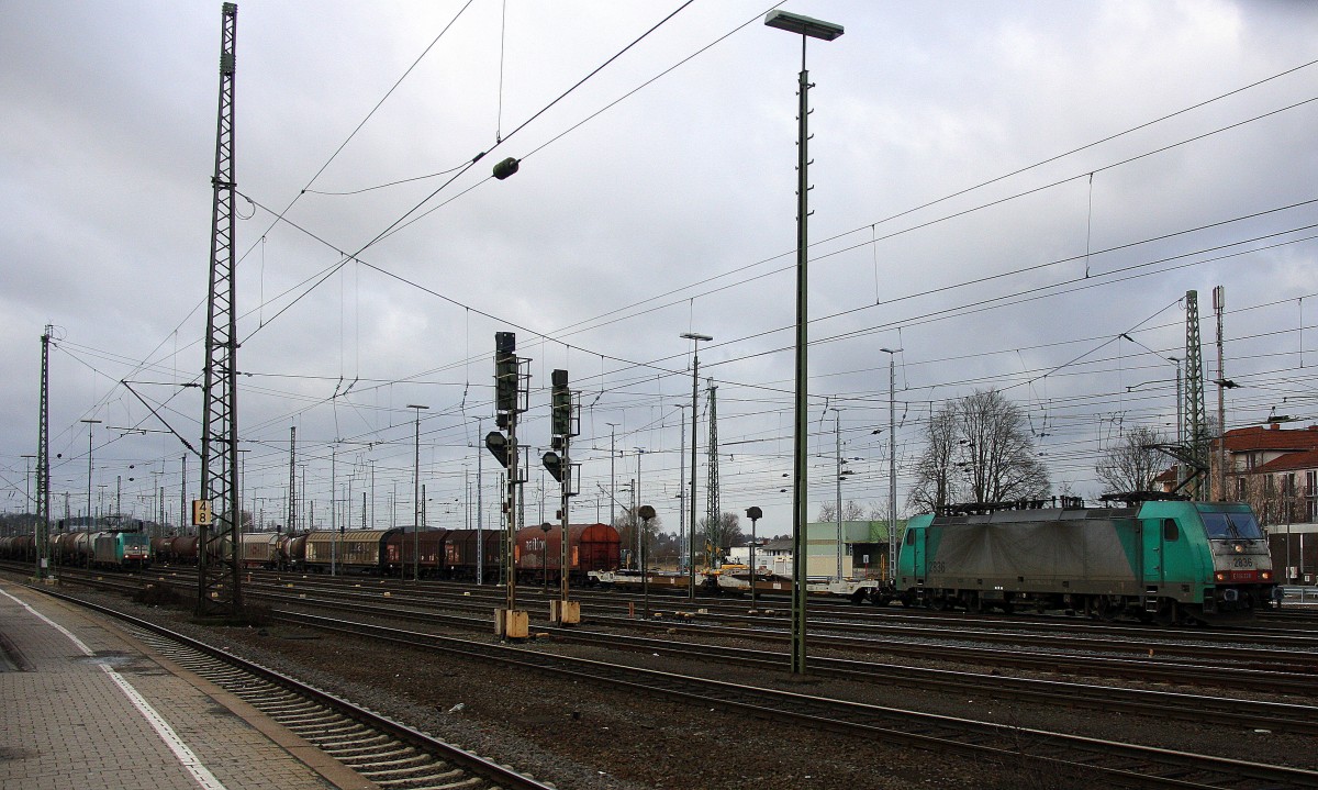Die Cobra 2836 fährt mit einem langen gemischten Güterzug aus Köln-Gremberg nach Antwerpen-Noord(B) bei der Ausfahrt aus Aachen-West in Richtung Montzen/Belgien. Aufgenommen vom Bahnsteig in Aachen-West bei Regenwolken am Nachmittag vom 11.1.2015.