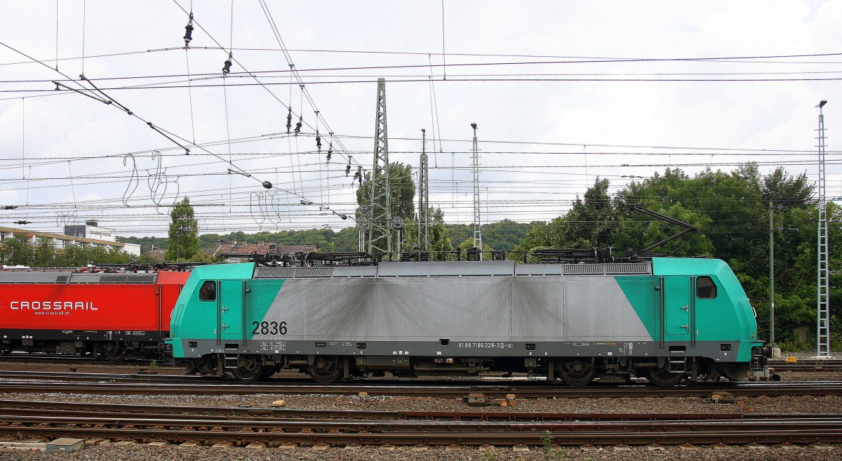 Die Cobra 2836 rangiert in Aachen-West.
Aufgenommen vom Bahnsteig in Aachen-West bei Sonne und Wolken am 16.8.2014.