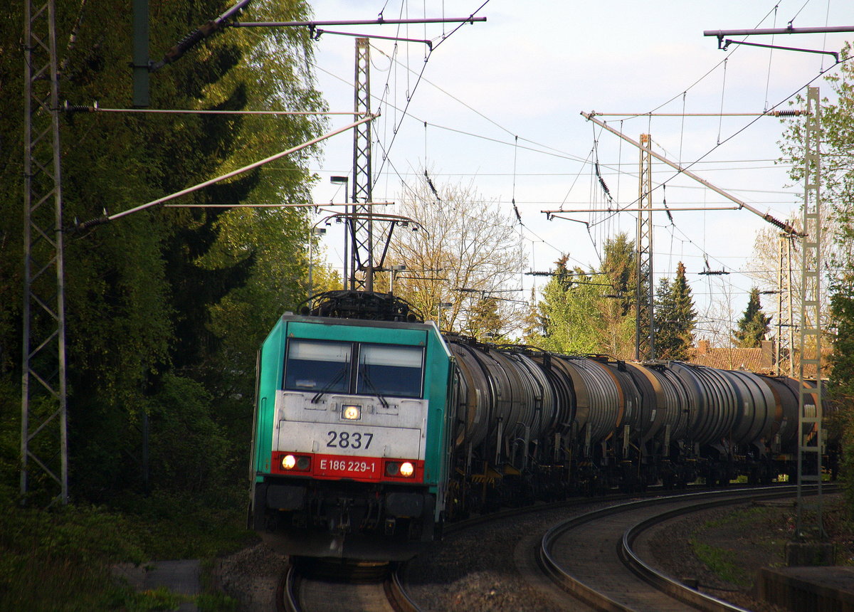 Die Cobra 2837  kommt als Umleiter mit einem Kesselzug aus Ludwigshafen-BASF(D) nach  Antwerpen-BASF(B) und kommt aus Richtung Mönchengladbach-Hbf,Rheydt-Hbf,Wickrath,Beckrath,Herrath und fährt durch Erkelenz in Richtung Baal,Hückelhoven-Baal,Brachelen,Lindern,Süggerath,Geilenkirchen,Frelenberg,Zweibrüggen,Übach-Palenberg,Rimburg,Finkenrath,Hofstadt,Herzogenrath, Kohlscheid,Richterich,Laurensberg,Aachen-West. 
Aufgenommen vom Bahnsteig 1 in Erkelenz.  
In der Abendsonne am Abend vom  17.4.2017.