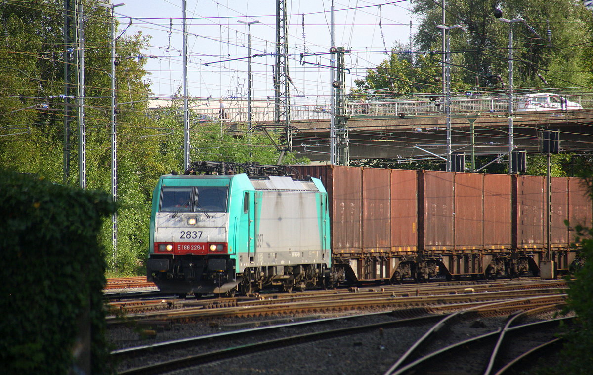 Die Cobra 2837 kommt als umleiter aus Richtung Montzen/Belgien mit einem Volvo-Containerzug aus Gent(B) nach Almhult(S) und fährt in Aachen-West ein. 
Aufgenommen vom Bahnsteig in Aachen-West. 
Am Nachmittag vom 5.9.2016.