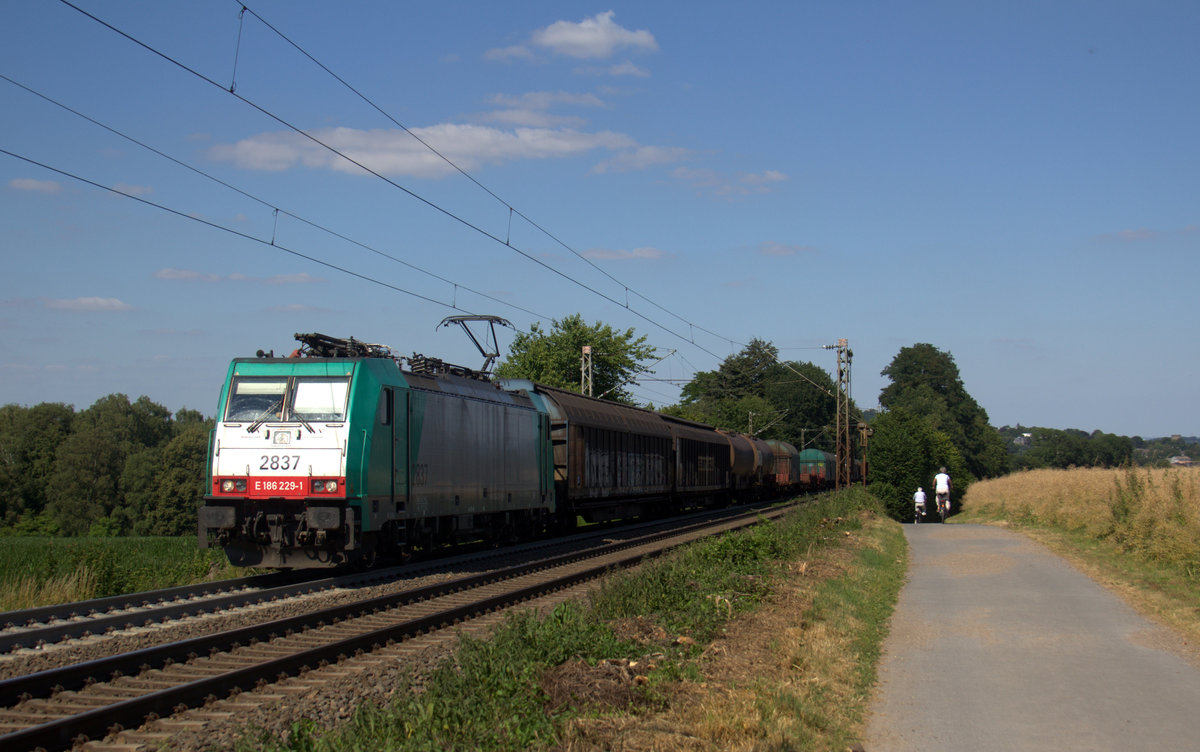 Die Cobra 2837 kommt aus Richtung Aachen-West und fährt die Gemmenicher-Rampe hoch mit einem gemischten Güterzug aus Köln-Gremberg(D) nach Antwerpen-Noord(B) und fährt in Richtung Montzen/Belgien. 
Aufgenommen an der Montzenroute am Gemmenicher-Weg. 
Bei Sommerwetter am Nachmittag vom 8.7.2018.