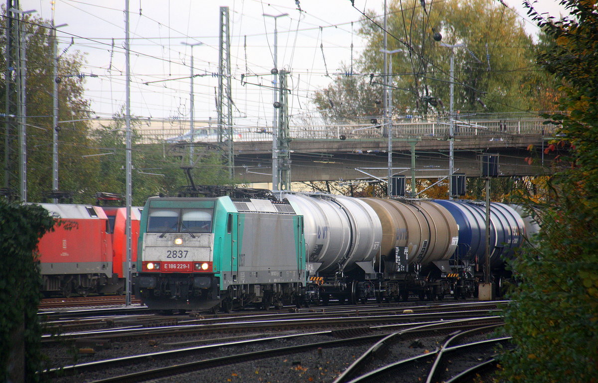 Die Cobra 2837 kommt aus Richtung Montzen/Belgien mit einem Güterzug aus Antwerpen-Noord(B) nach Köln-Gremberg und fährt in Aachen-West ein. 
Aufgenommen vom Bahnsteig in Aachen-West. 
Bei Sonnenschein und Wolken am Kalten Nachmittag vom 3.11.2016.