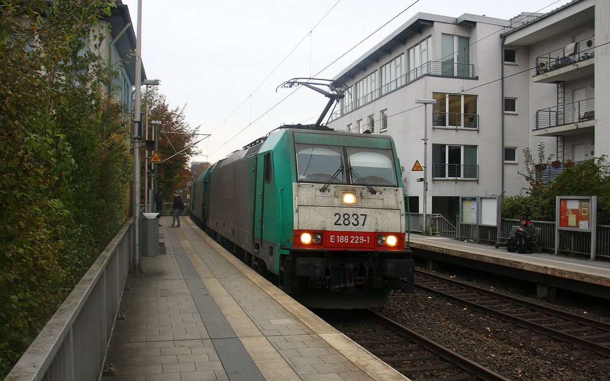 Die Cobra 2837 kommt aus Richtung Aachen-West mit einem Coilzug aus Kinkempois(B) nach Köln-Gremberg und fährt durch Aachen-Schanz in Richtung Aachen-Hbf,Aachen-Rothe-Erde,Stolberg-Hbf(Rheinland)Eschweiler-Hbf,Langerwehe,Düren,Merzenich,Buir,Horrem,Kerpen-Köln-Ehrenfeld,Köln-West,Köln-Süd. Aufgenommen vom Bahnsteig von Aachen-Schanz. 
Bei Regenwolken am Kalten Nachmittag vom 4.11.2016.