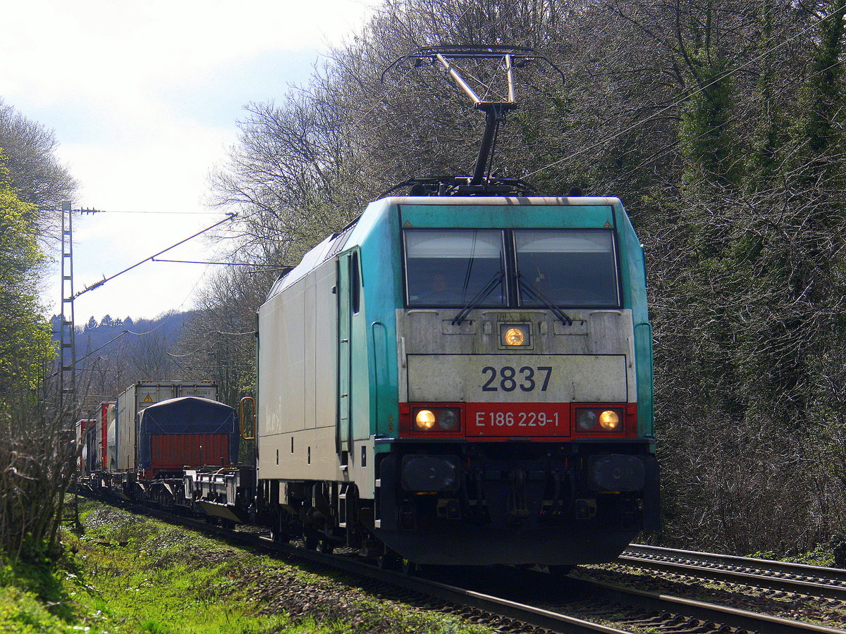 Die Cobra 2837 kommt die Gemmenicher-Rampe herunter nach Aachen-West mit Containerzug aus Genk-Zuid-Haven(B) nach Gallarate(I).
Aufgenommen an der Gemmenicher-Rampe am Gemmenicher-Weg an der Montzenroute. 
Bei schönem Frühlingswetter am 9.4.2016. 