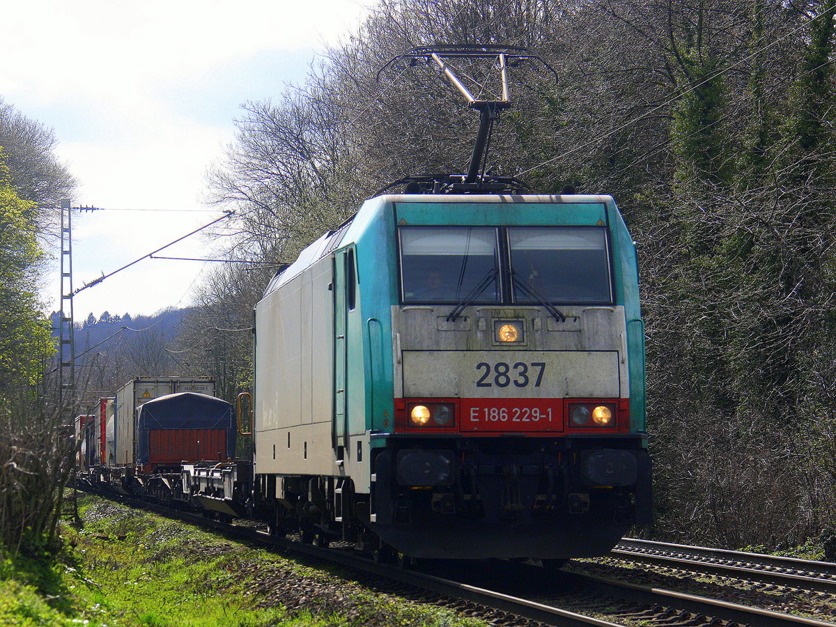 Die Cobra 2837 kommt die Gemmenicher-Rampe herunter nach Aachen-West mit Containerzug aus Genk-Zuid-Haven(B) nach Gallarate(I).
Aufgenommen an der Gemmenicher-Rampe am Gemmenicher-Weg an der Montzenroute. 
Bei schönem Frühlingswetter am 9.4.2016. 