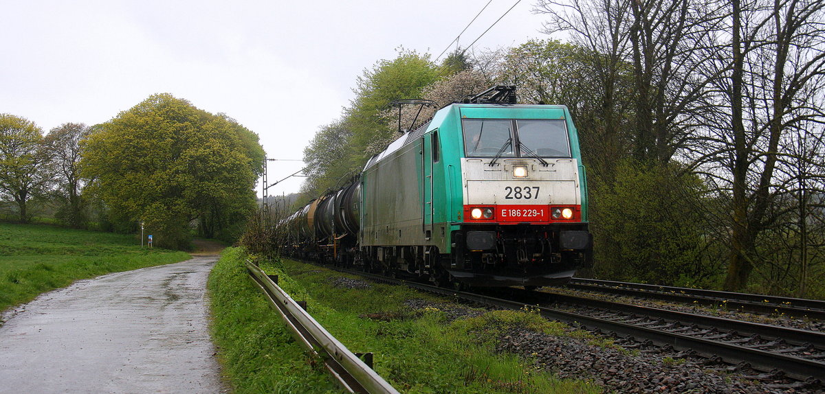 Die Cobra 2837 kommt die Gemmenicher-Rampe herunter nach Aachen-West mit einem langen Kesselzug aus Antwerpen-BASF nach Ludwigshafen-BASF(D). 
Aufgenommen an der Montzenroute am Gemmenicher-Weg. 
Bei Regenwetter am 25.4.2016.