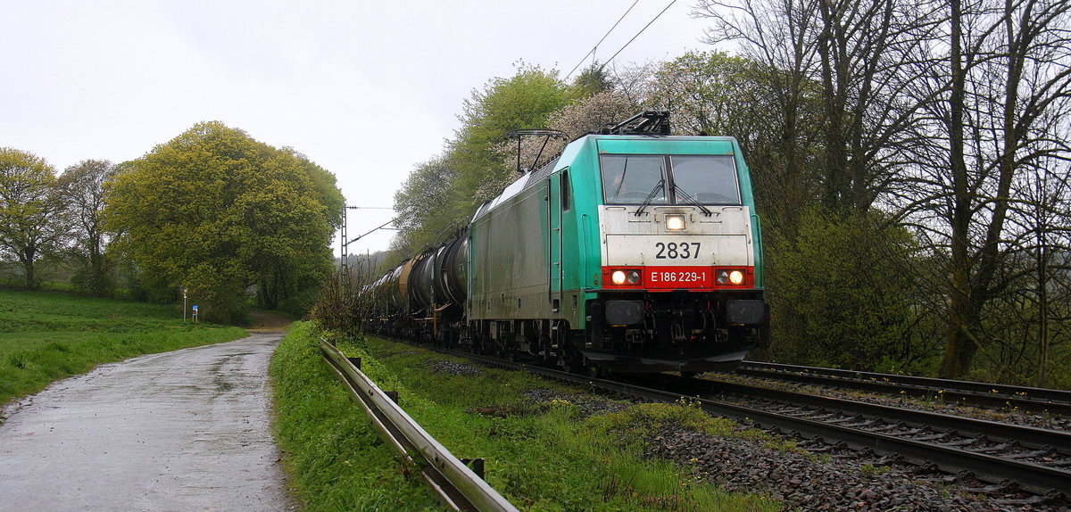 Die Cobra 2837 kommt die Gemmenicher-Rampe herunter nach Aachen-West mit einem langen Kesselzug aus Antwerpen-BASF nach Ludwigshafen-BASF(D). 
Aufgenommen an der Montzenroute am Gemmenicher-Weg. 
Bei Regenwetter am 25.4.2016.