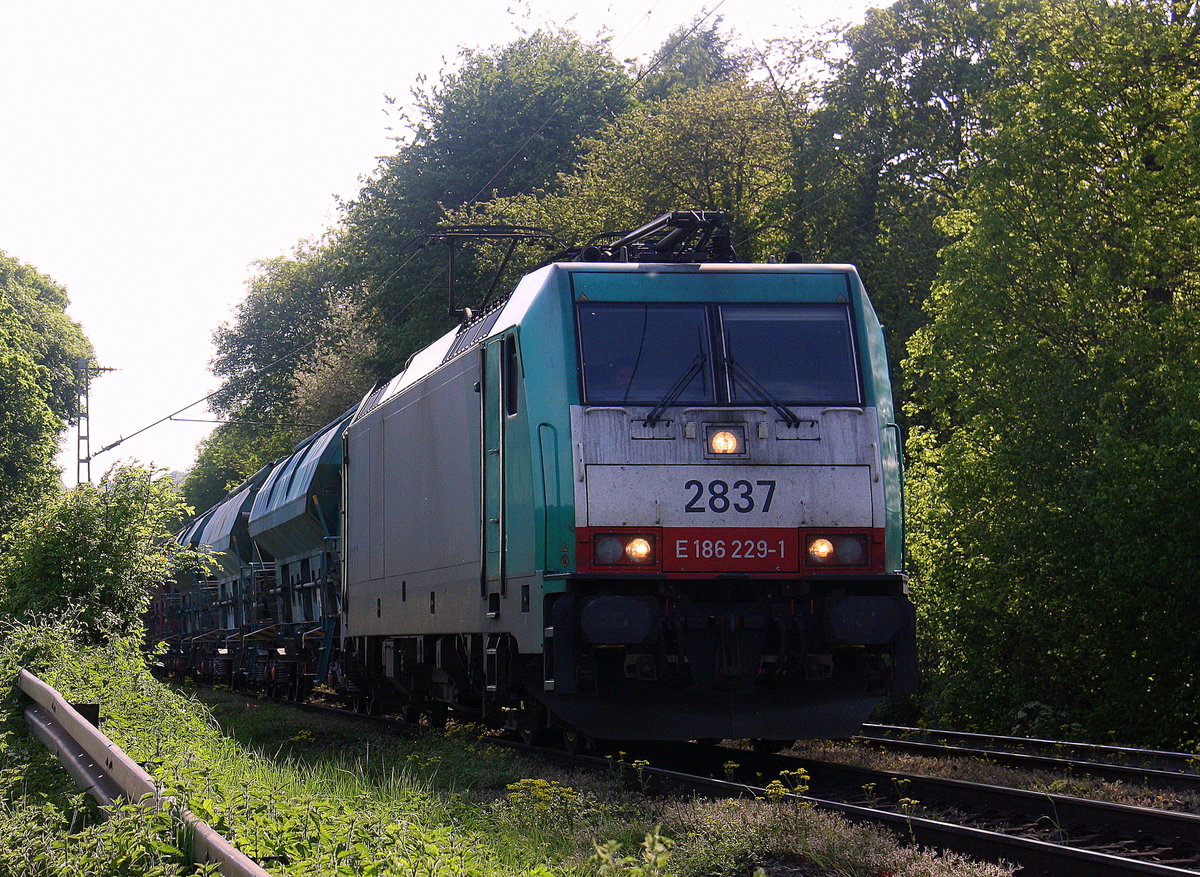 Die Cobra 2837 kommt die Gemmenicher-Rampe herunter nach Aachen-West mit einem langen Kalkzug aus Marche-les-Dames(B) nach Hagen(D). 
Aufgenommen an der Gemmenicher-Rampe am Gemmenicher-Weg an der Montzenroute.
Bei Sommerwetter am Nachmittag vom 12.5.2016.