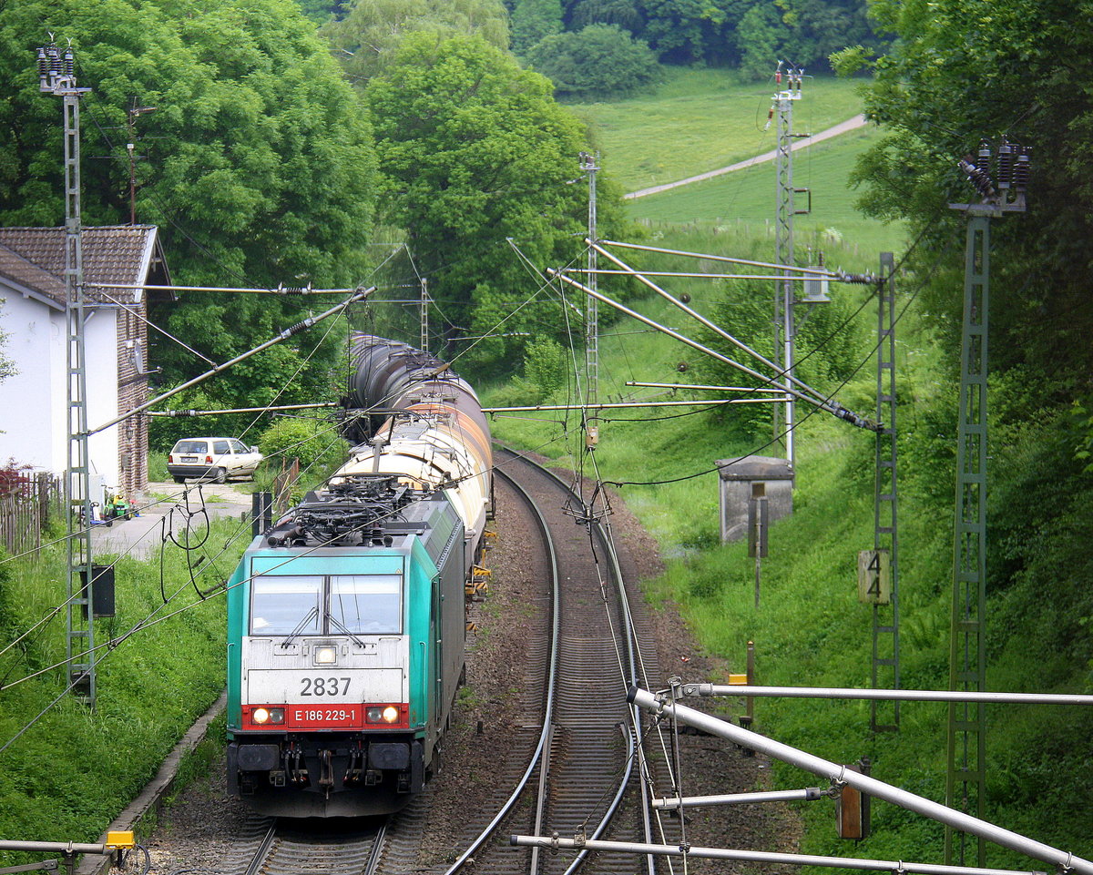 Die Cobra 2837 kommt die Gemmenicher-Rampe hochgefahren aus Aachen-West mit einem lagen gemischten Güterzug aus Köln-Gremberg nach Antwerpen-Noord(B) und fährt gleich in den Gemmenicher-Tunnel hinein und fährt in Richtung Montzen/Vise(B). 
Aufgenommen in Reinartzkehl an der Montzenroute. 
Bei Sonne und Gewitterwolken am Vormittag vom 27.5.2016.