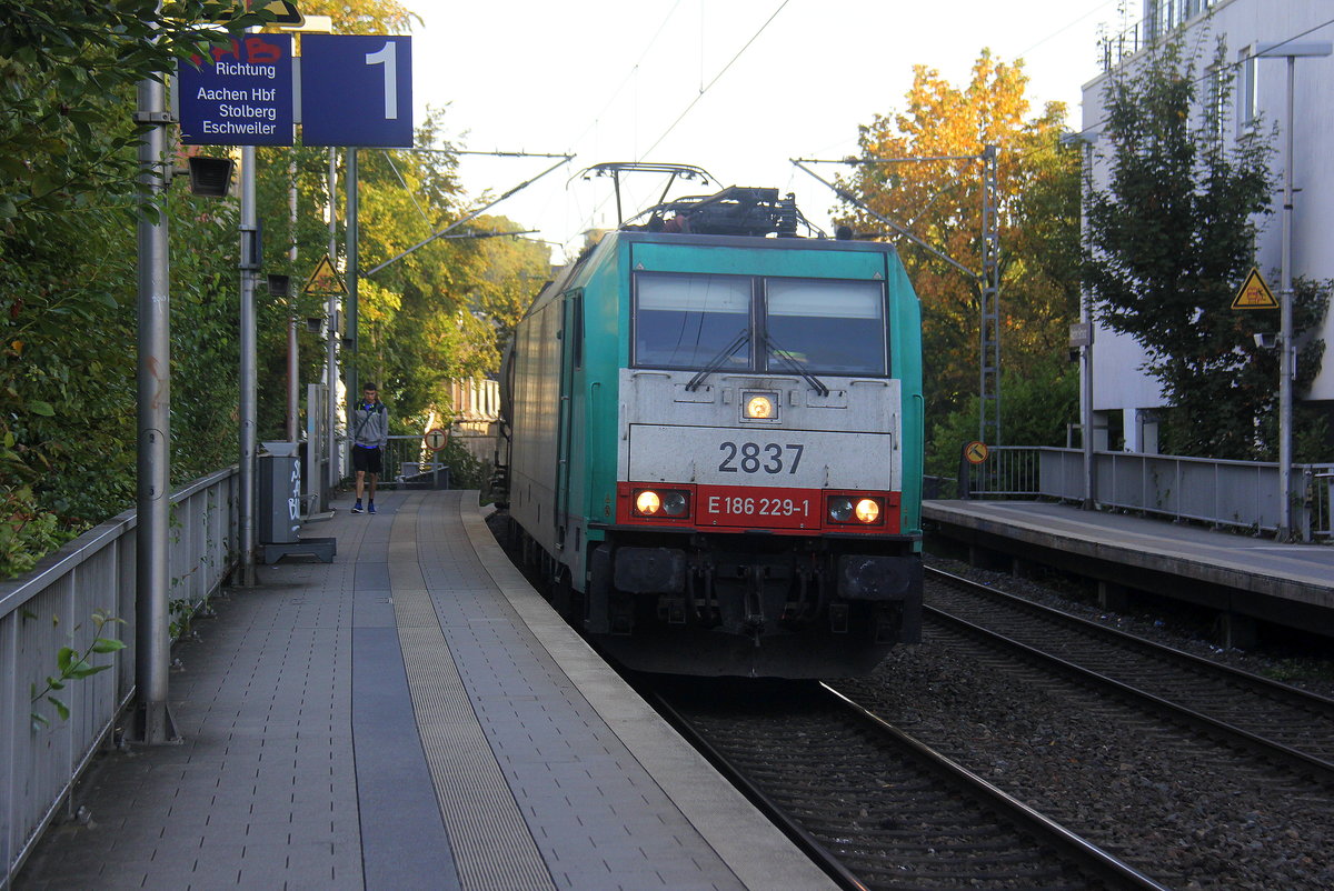 Die Cobra 2837 kommt mit einem Kesselzug aus Antwerpen-Noord(B) nach Köln-Eifeltor(D) fährt durch Aachen-Schanz in Richtung Aachen-Hbf,Aachen-Rothe-Erde,Stolberg-Hbf(Rheinland)Eschweiler-Hbf,Langerwehe,Düren,Merzenich,Buir,Horrem,Kerpen-Köln-Ehrenfeld,Köln-West,Köln-Süd. 
Aufgenommen vom Bahnsteig von Aachen-Schanz. 
Bei Sommerwetter am Morgen vom 17.9.2018.