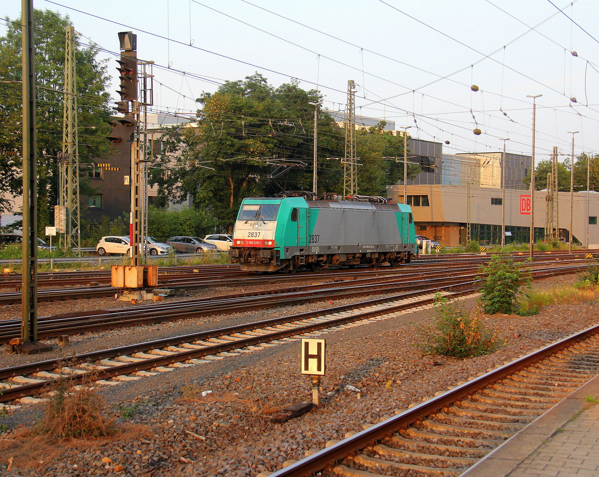 Die Cobra 2837 rangiert in Aachen-West.
Aufgenommen vom Bahnsteig in Aachen-West. 
In der Abendstimmung am Abend vom 6.7.2018.