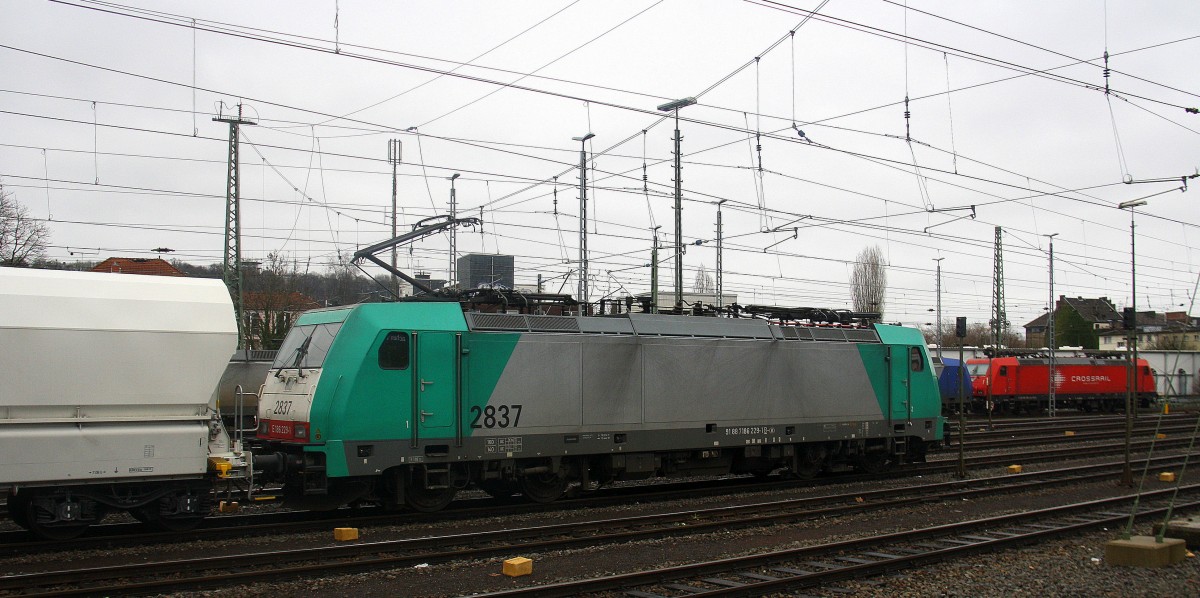 Die Cobra 2837 steht in Aachen-West mit einem Kalkleerzug aus Millingen(D) nach Yves-Gomezee(B) und wartet auf die Weiterfahrt nach Belgien.
Aufgenommen vom Bahnsteig in Aachen-West.
Bei Nieselregen am Nachmittag vom 5.2.2016. 