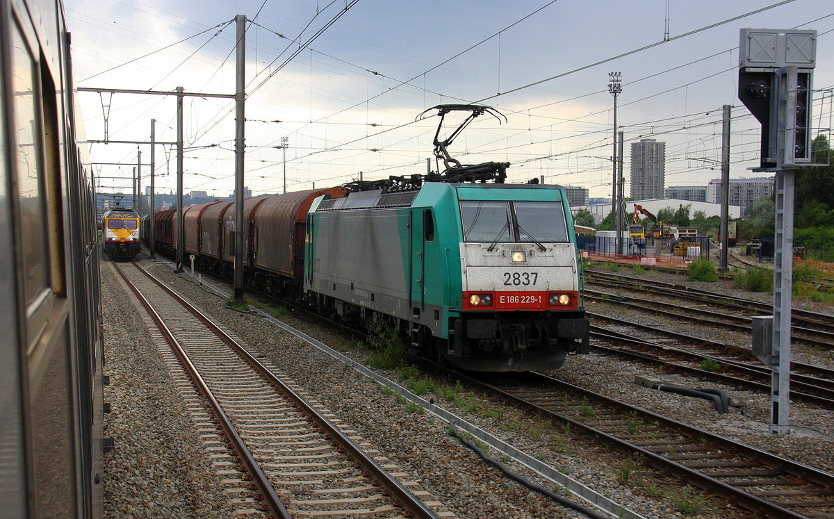 Die Cobra 2837 steht mit einem Coilzug aus Kinkempois(B) nach Landshut(D). 
Aufgenommen aus dem IC 5386 von Maastricht(NL) nach Hasselt(B). 
In Bressoux(B). Bei Gewittergefahr am Nachmittag vom 15.6.2017.