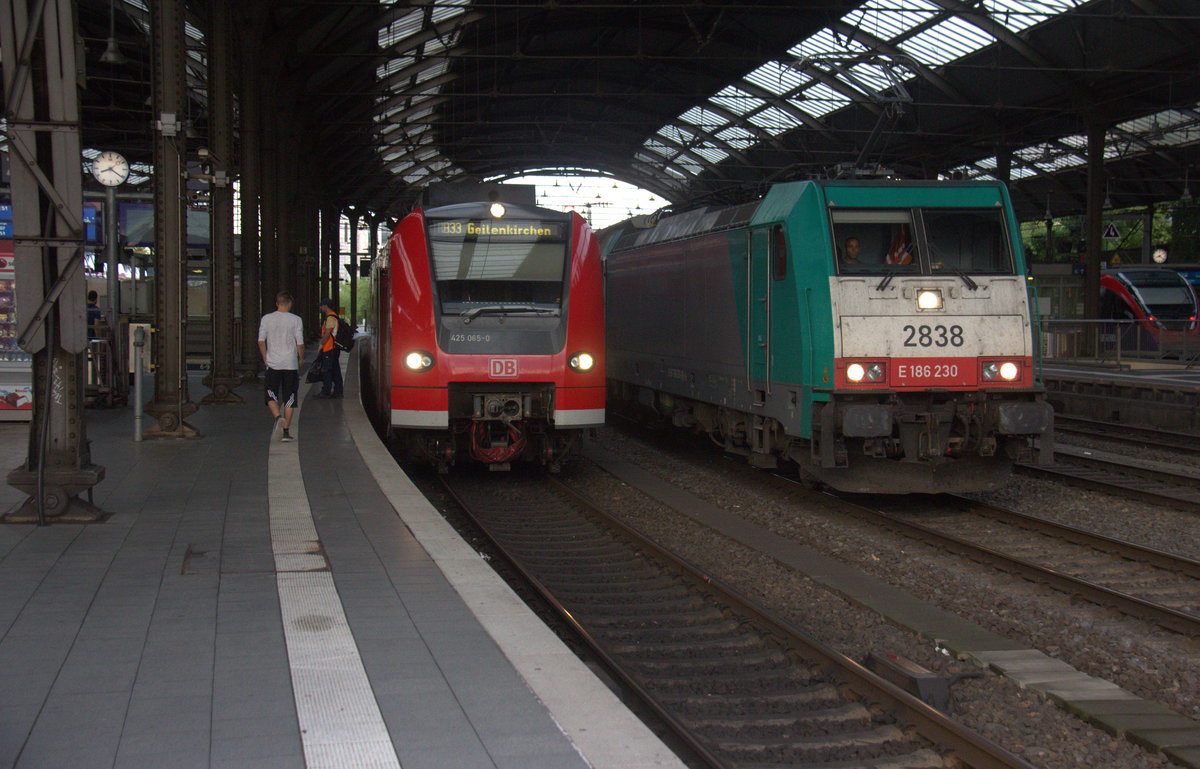 Die Cobra 2838 kommt aus Richtung Köln und fährt durch den Aachener-Hbf und fährt in Richtung Aachen-West mit einem Güterzug aus Köln-Gremberg(D) nach Zeebrugge(B).
Aufgenommen vom Bahnsteig 2 vom Aachen-Hbf.
Am Abend vom 9.8.2018. 
