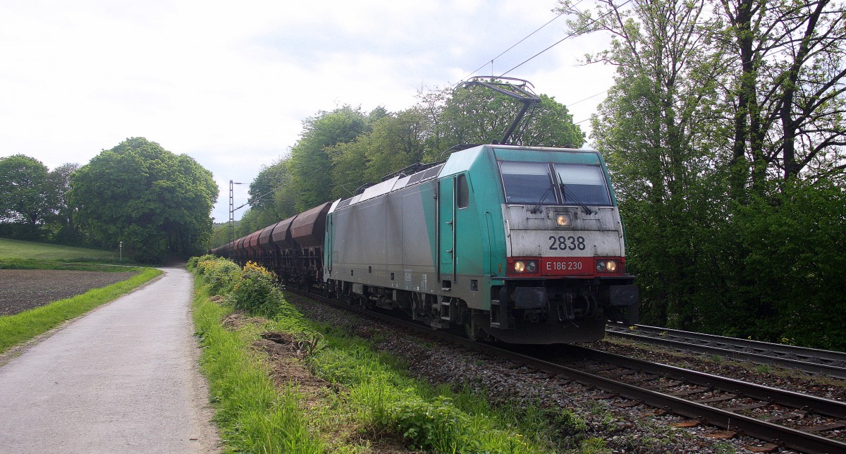 Die Cobra 2838 kommt die Gemmenicher-Rampe herunter nach Aachen-West mit einem langen Kohlenzug aus Gent-Zeehaven(B) nach Garching(D).
Aufgenommen an der Montzenroute am Gemmenicher-Weg am 8.5.2015. 