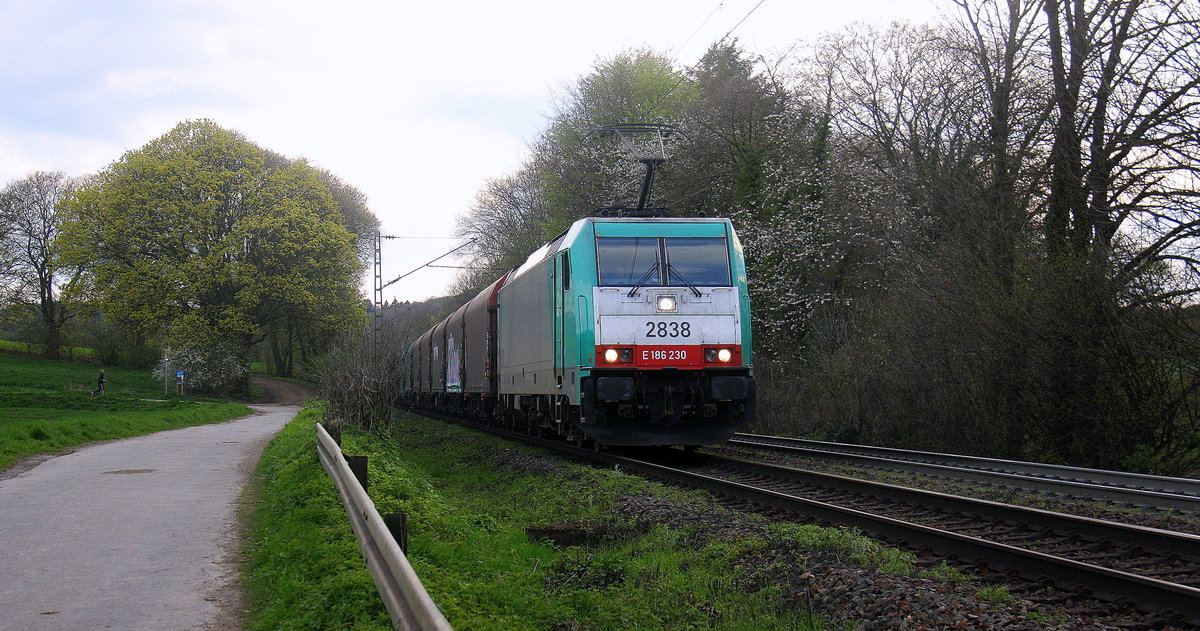 Die Cobra 2838 kommt die Gemmenicher-Rampe herunter nach Aachen-West mit einem  Coilzug aus Antwerpen-Noord(B) nach Köln-Eifeltor(D).
Aufgenommen an der Montzenroute am Gemmenicher-Weg. 
Bei Sonne und Wolken am Abend vom 14.4.2016. 