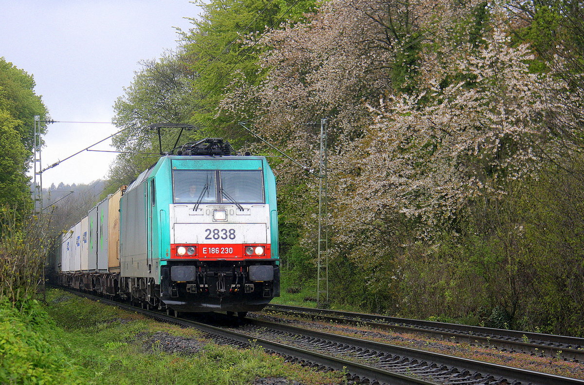 Die Cobra 2838 kommt die Gemmenicher-Rampe herunter nach Aachen-West mit einem Containerzug aus Genk-Zuid Haven(B) nach Novara(I). 
Aufgenommen an der Montzenroute am Gemmenicher-Weg.
Bei Regenwetter am Mittag vom 30.4.2016.