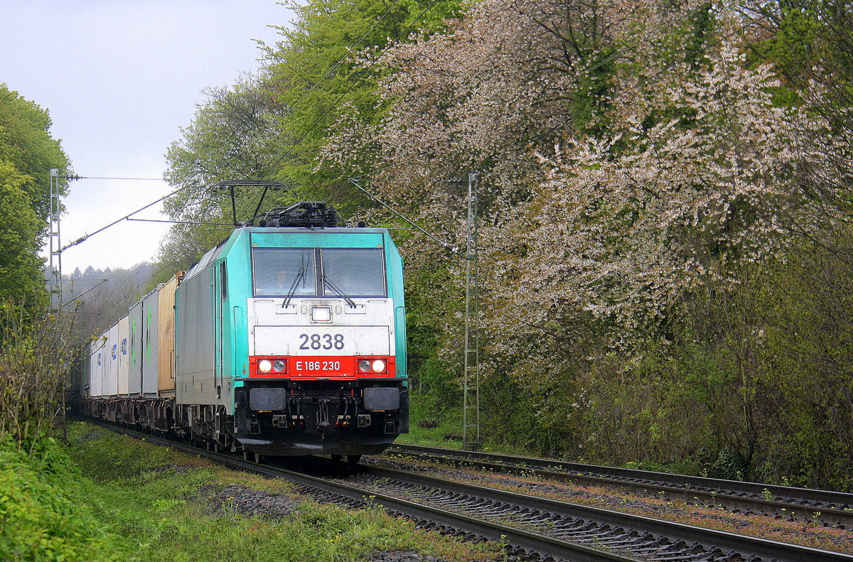 Die Cobra 2838 kommt die Gemmenicher-Rampe herunter nach Aachen-West mit einem Containerzug aus Genk-Zuid Haven(B) nach Novara(I). 
Aufgenommen an der Montzenroute am Gemmenicher-Weg.
Bei Regenwetter am Mittag vom 30.4.2016.