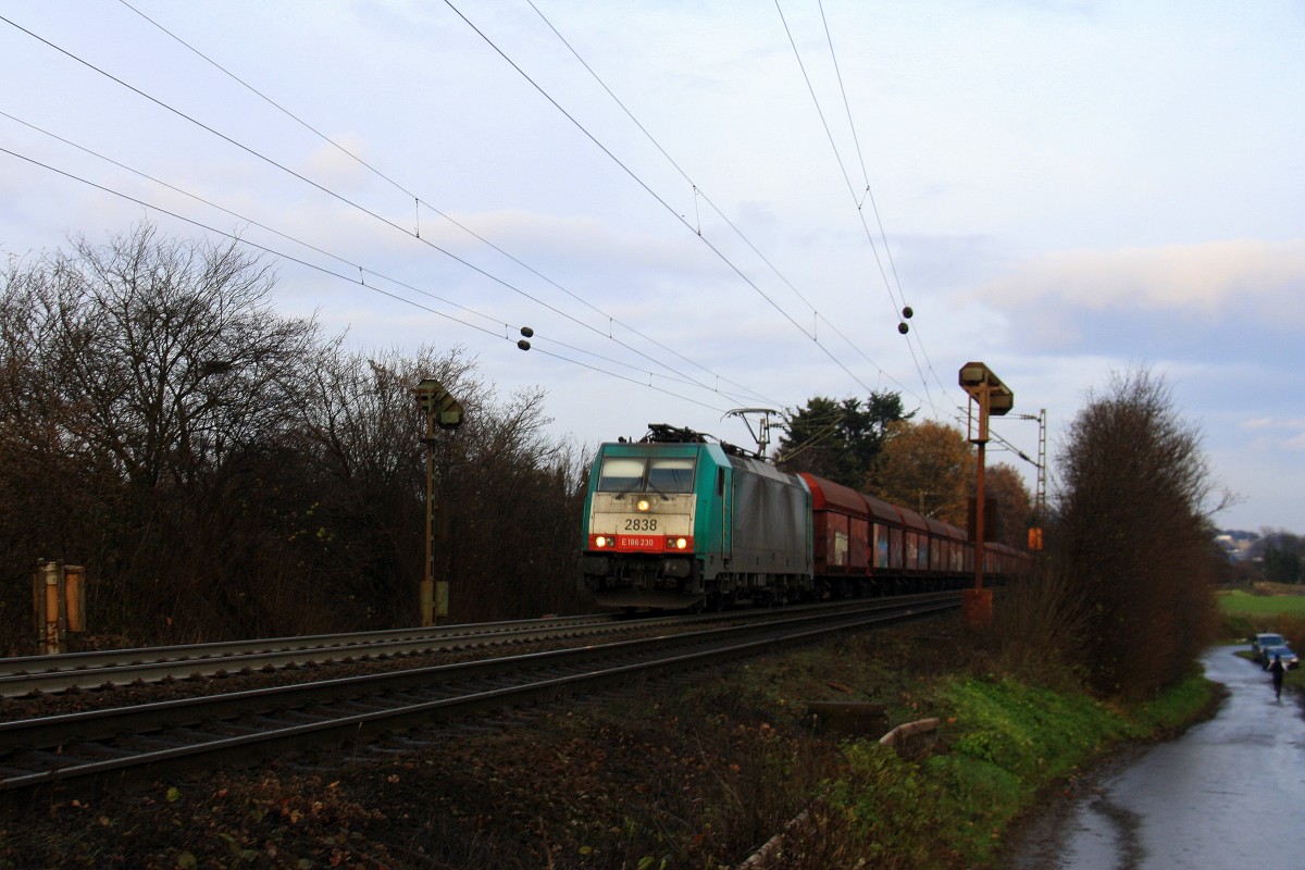 Die Cobra 2838 rast die Gemmenicher-Rampe hoch mit einem langen Kohlenleerzug aus Bernburg nach Gent-Zeehaven(B) aus Richtung Aachen-West und fährt in Richtung Montzen/Belgien.
Aufgenommen an der Montzenroute am Gemmenicher-Weg am Nachmittag vom 8.12.2013. 