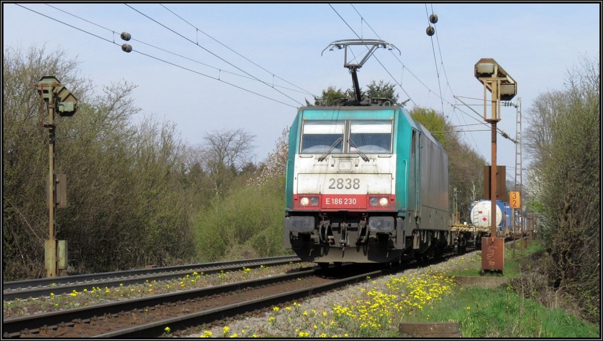 Die Cobra 2838 zieht ihren Güterzug die Rampe hinauf nach Belgien. Hier zu sehen am Gemmenicher Weg auf der Montzenroute unweit von Aachen am 19.April 2015.
