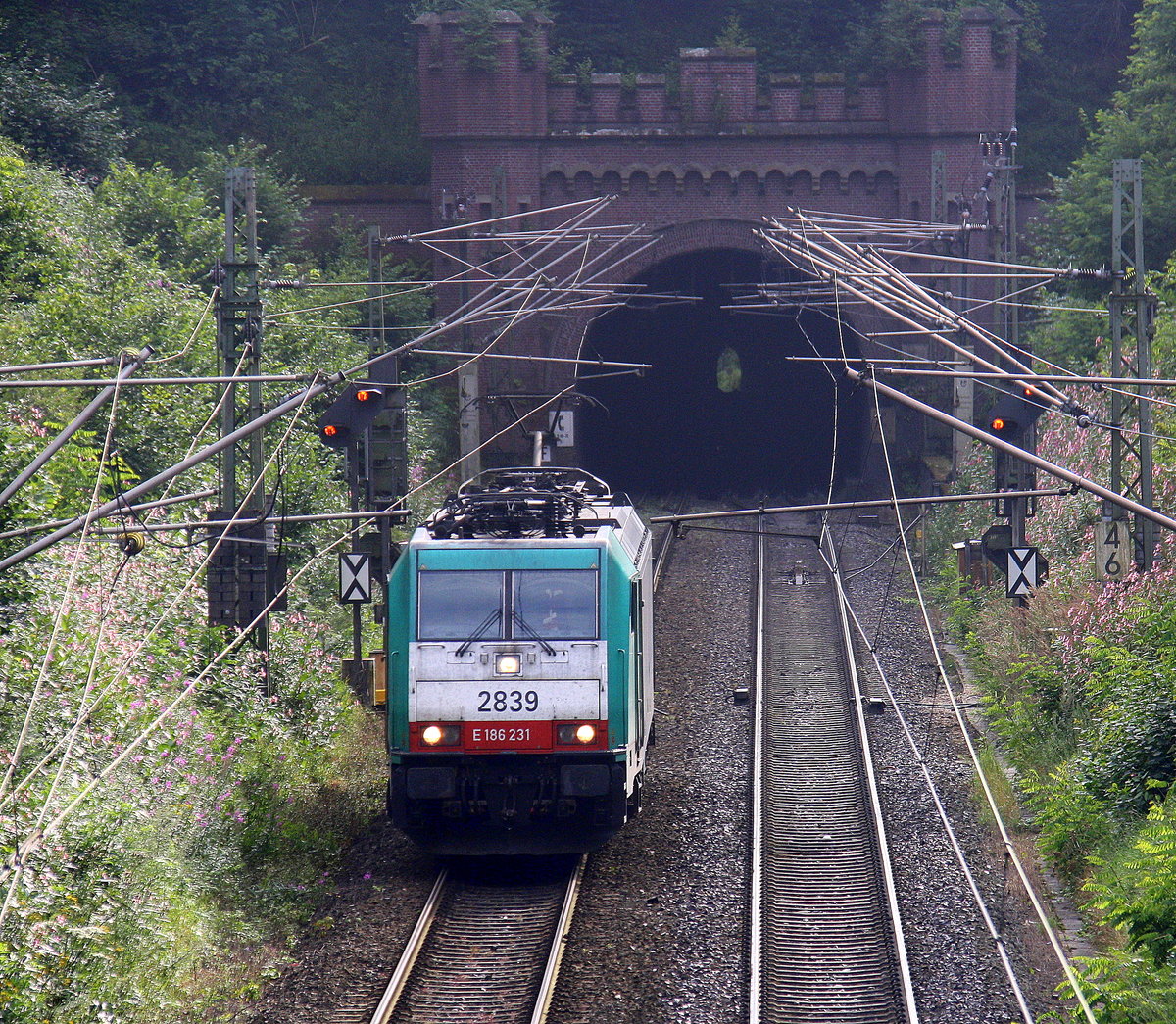 Die Cobra 2839 kommt als Lokzug aus Belgien nach Aachen-West und kam aus dem Gemmenicher-Tunnel und fährt die Gemmenicher-Rampe herunter nach Aachen-West. Aufgenommen bei Reinartzkehl an der Montzenroute.
Am Abend vom 8.8.2016.