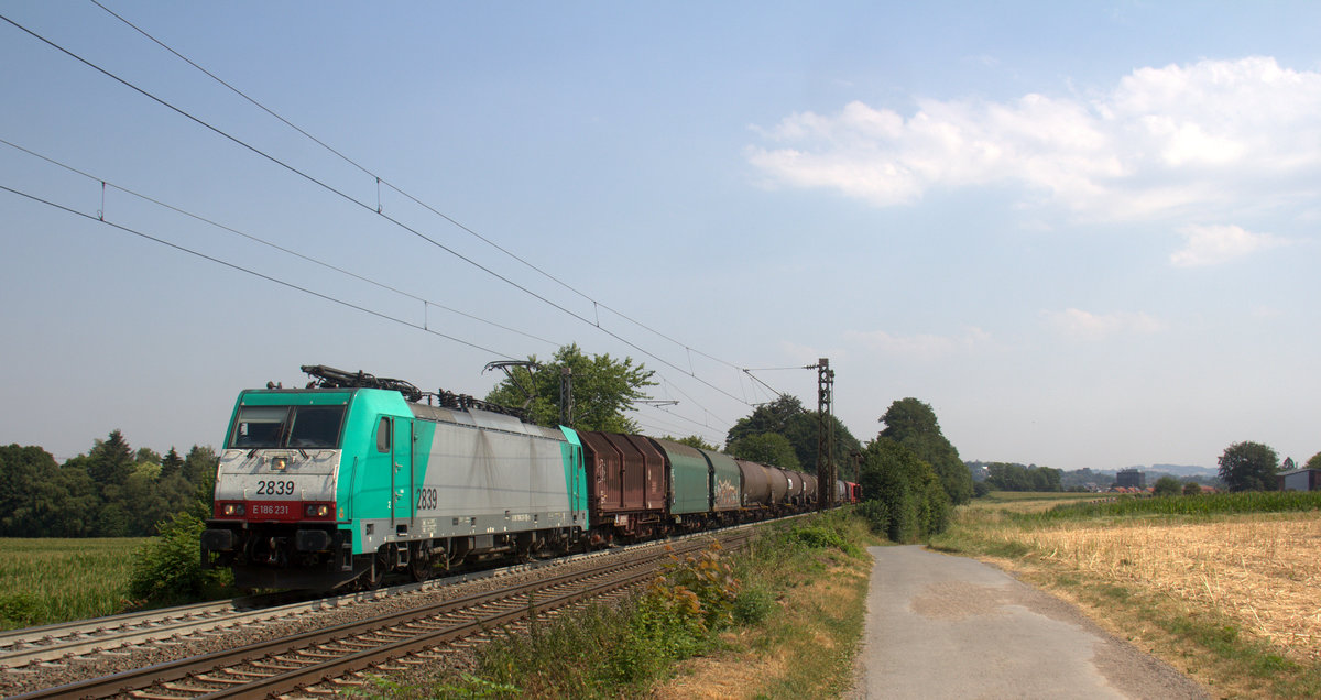 Die Cobra 2839 kommt aus Richtung Aachen-West und fährt die Gemmenicher-Rampe hoch mit einem gemischten Güterzug aus Köln-Gremberg(D) nach Antwerpen-Noord(B) und am Ende fährt 185 286-2 DB als Schubhilfe bis zum Gemmenicher-Tunnel. 
Aufgenommen an der Montzenroute am Gemmenicher-Weg.
Bei Sommerwetter am Mittag vom 25.7.2018.