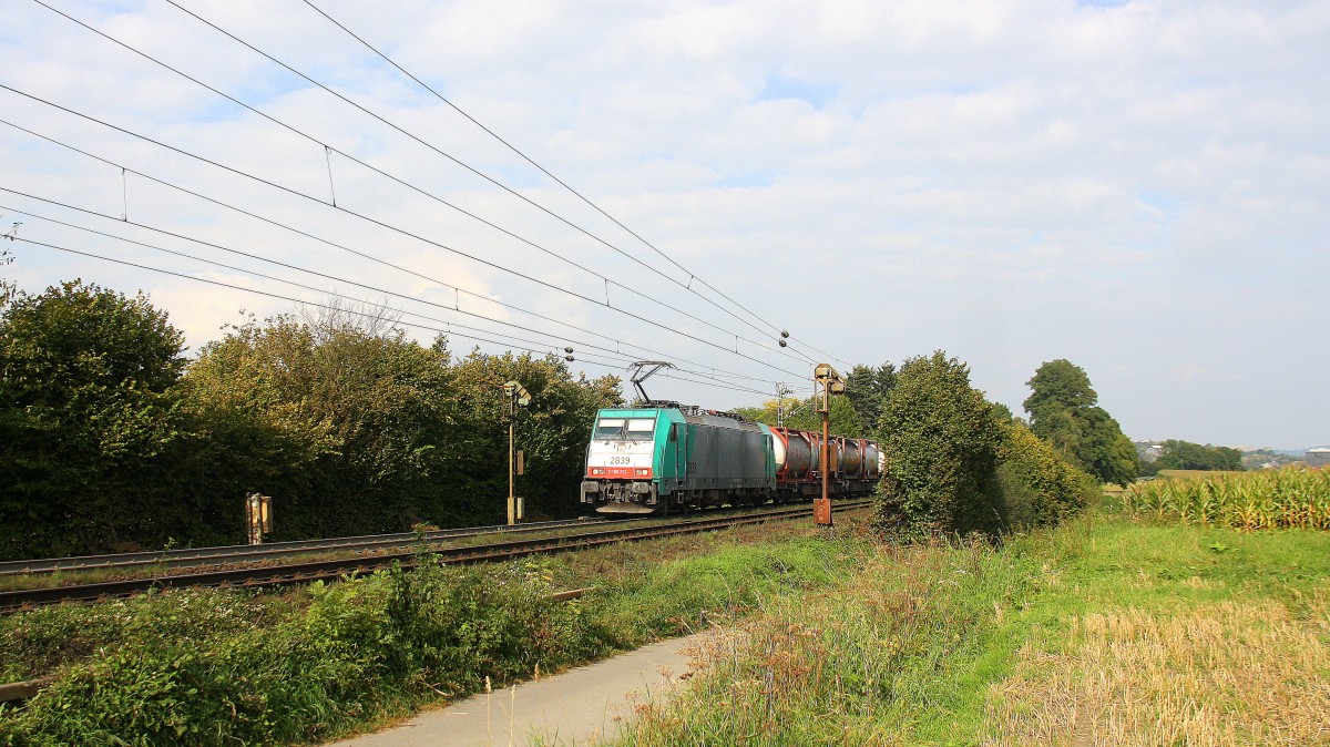 Die Cobra 2839 kommt aus Richtung Aachen-West und fährt die Gemmenicher-Rampe hochgefahren mit einem langen Containerzug aus Verona(I) nach Antwerpen-Noord(B) und fährt in Richtung Montzen/Belgien. Aufgenommen an der Montzenroute am Gemmenicher-Weg bei Sonne und Wolken am Nachmittag vom 14.9.2014.
