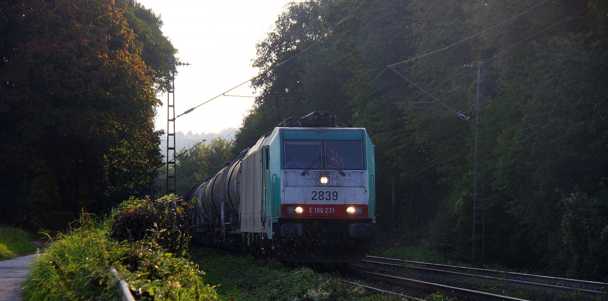 Die Cobra 2839 kommt aus Richtung Gemmenicher-Tunnel mit einem langen gemischten Güterzug aus Antwerpen-Noord(B) nach Köln-Gremberg und  fährt die Gemmenicher-Rampe herunter nach Aachen-West.
Aufgenommen an der Montzenroute am Gemmenicher-Weg bei Gegenlicht am 3.10.2014. 