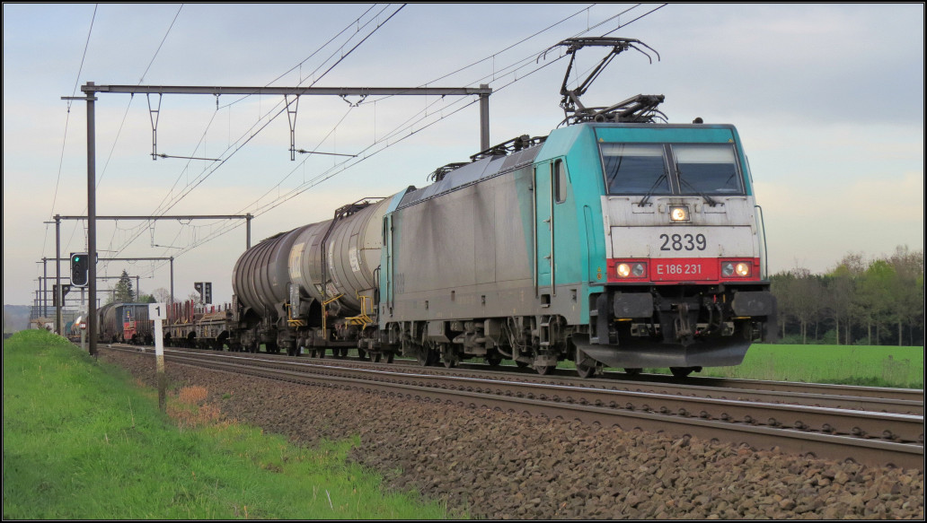 Die Cobra 2839 ist mit einen gemischten Güterzug am Haken unterwegs nach Aachen West.
Hier zu sehen kurz vor Tongeren in Flandern (Belgien) am 21.April 2016.