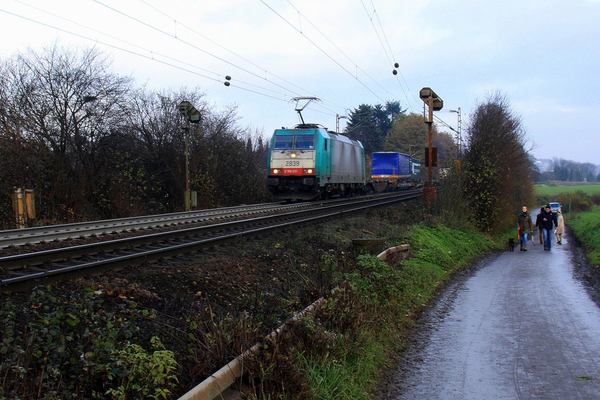 Die Cobra 2839 rast die Gemmenicher-Rampe hoch mit einem langen Containerzug aus Gallarate(I) nach Antwerpen-Oorderen(B) aus Richtung Aachen-West und fhrt in Richtung Montzen/Belgien. 
Aufgenommen auf der Montzenroute am 1.12.2013.