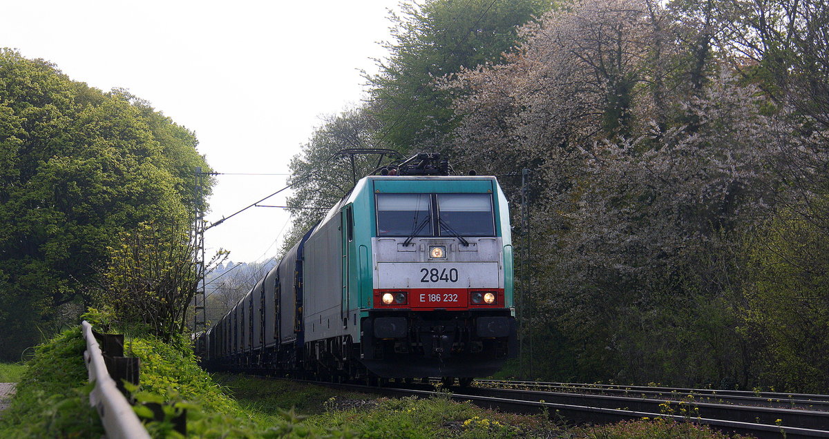Die Cobra 2840 kommt die Gemmenicher-Rampe herunter nach Aachen-West mit einem Coilzug aus Kinkempois(B) nach Aachen-West(D).
Aufgenommen an der Montzenroute am Gemmenicher-Weg. 
Bei schönem Frühlingswetter am Nachmittag vom 2.5.2016.
