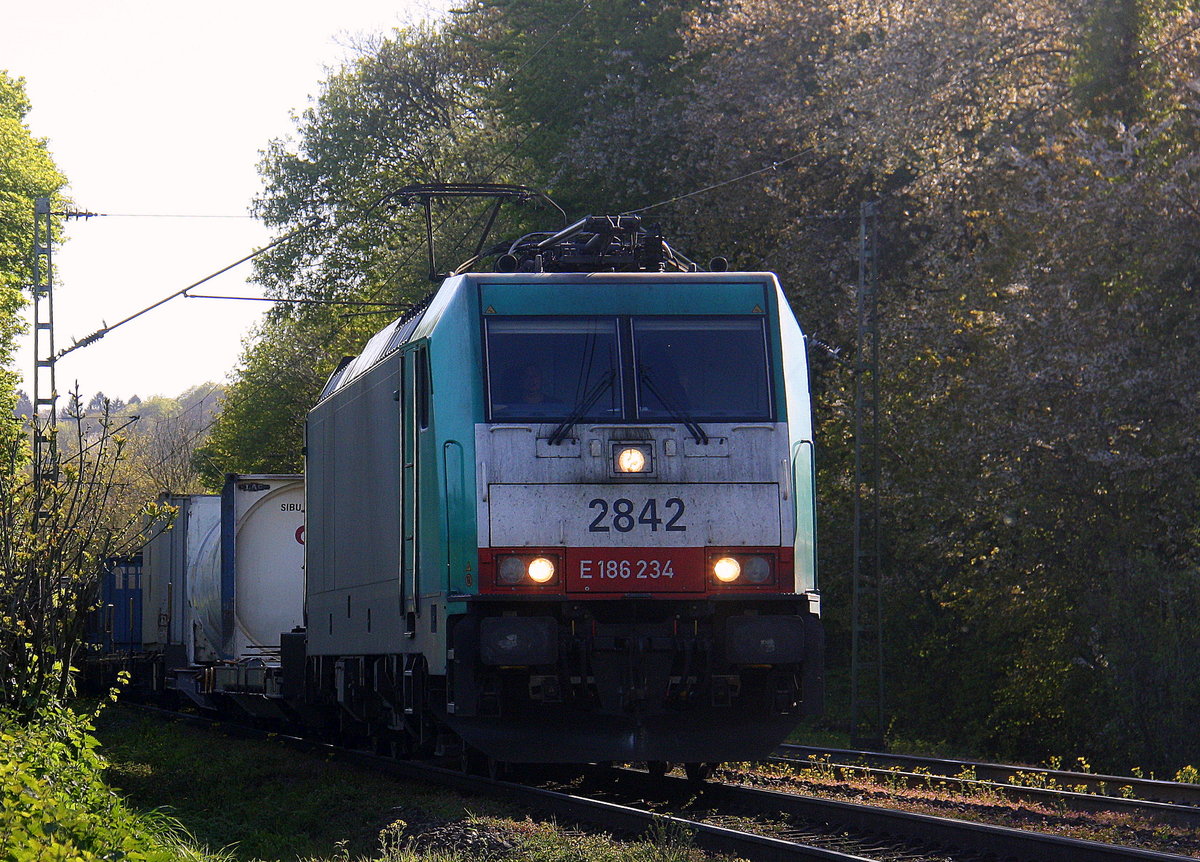 Die Cobra 2842 kommt die Gemmenicher-Rampe herunter nach Aachen-West mit einem Containerzug aus Genk-Zuid-Haven(B) nach Gallarate(I).
Aufgenommen an der Montzenroute am Gemmenicher-Weg. 
An einem schönem Frühlingsabend am Abend vom 4.5.2016.