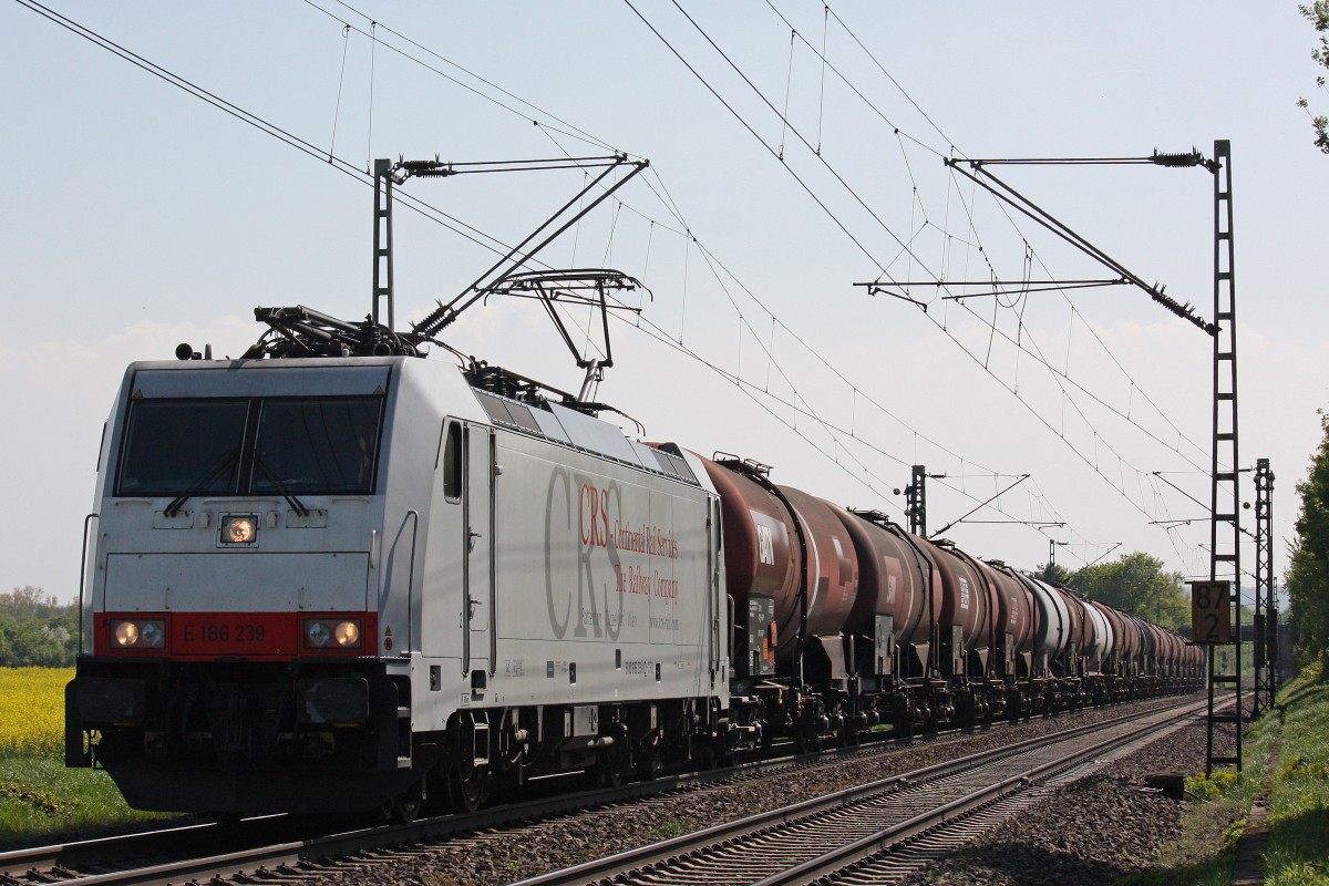 Die damals fr das Unternehmen CRS fahrende E186 239 am 4.5.13 mit einem Kesselzug in Menden.