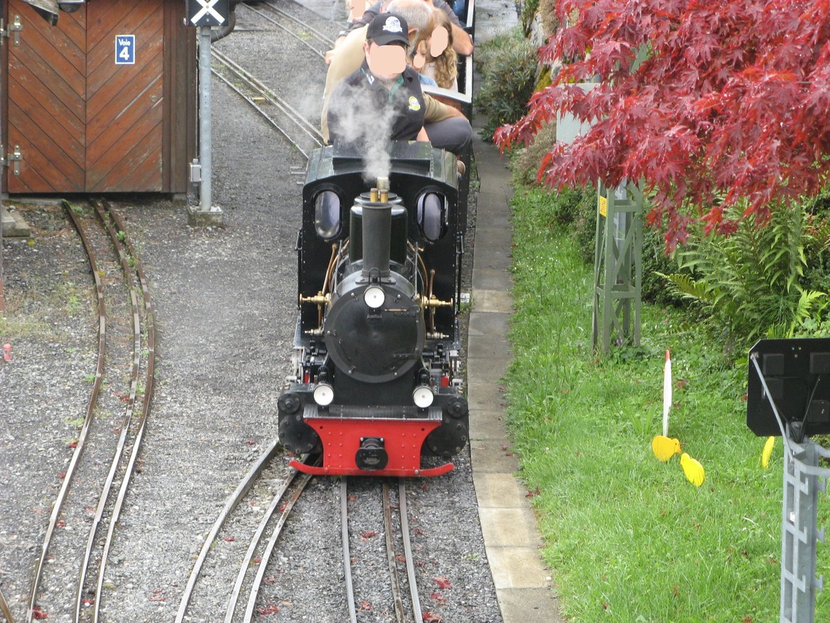 Die Dampflok, die einer deutschen Lokomotive nachgebaut ist, verlässt den Hauptbahnhof von Chablais City.

Foto: Luka Streck
Bouveret, 16.07.2020