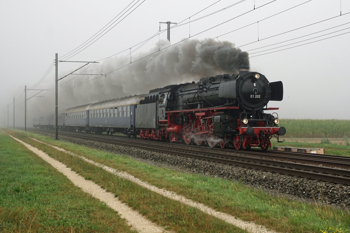 Die Dampflok Pacific 01 202 auf der Fahrt nach Schaffhausen am Morgen des 15. August 2020 im dichten Nebel bei Deitingen.
Foto: Walter Ruetsch