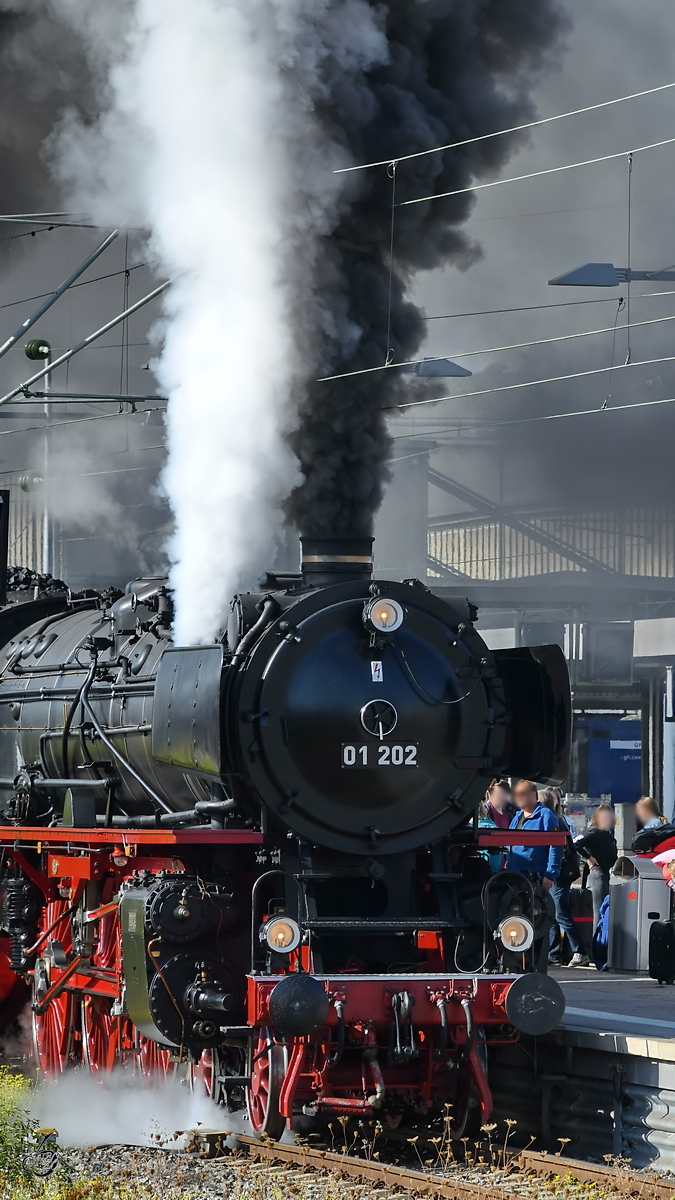 Die Dampflokomotive 01 202 sorgte für reichlich Besucherandrang auf dem Bahnsteig. (Stuttgart, September 2019)