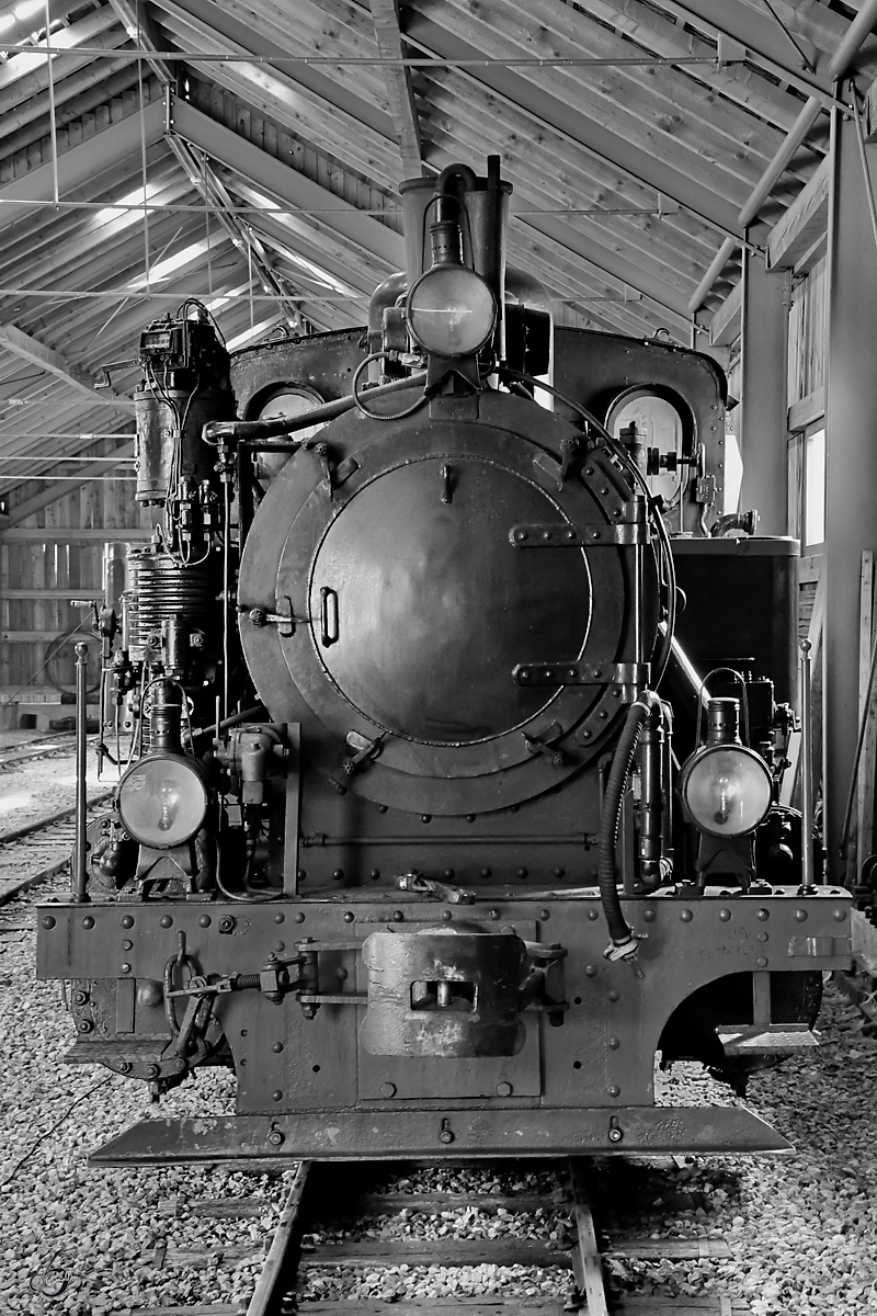 Die Dampflokomotive  22  wurde im Jahr 1939 bei Borsig gebaut und war als HF191 von Oktober 1942 bis März 1943 auf der Schmalspur-Heeresfeldbahn Tuleblja-Demjansk in der Sowjetunion im Kriegseinsatz. (Mauterndorf, August 2019)