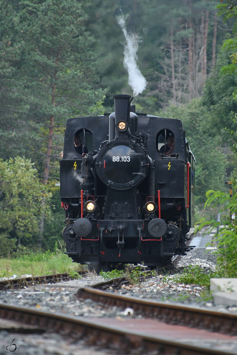 Die Dampflokomotive 88.103 wurde 1941 in der Wiener Lokomotivfabrik Floridsdorf gebaut und war ursprünglich für die Werksbahn Stahlwerk Ternitz im Einsatz. (Ferlach, September 2019)