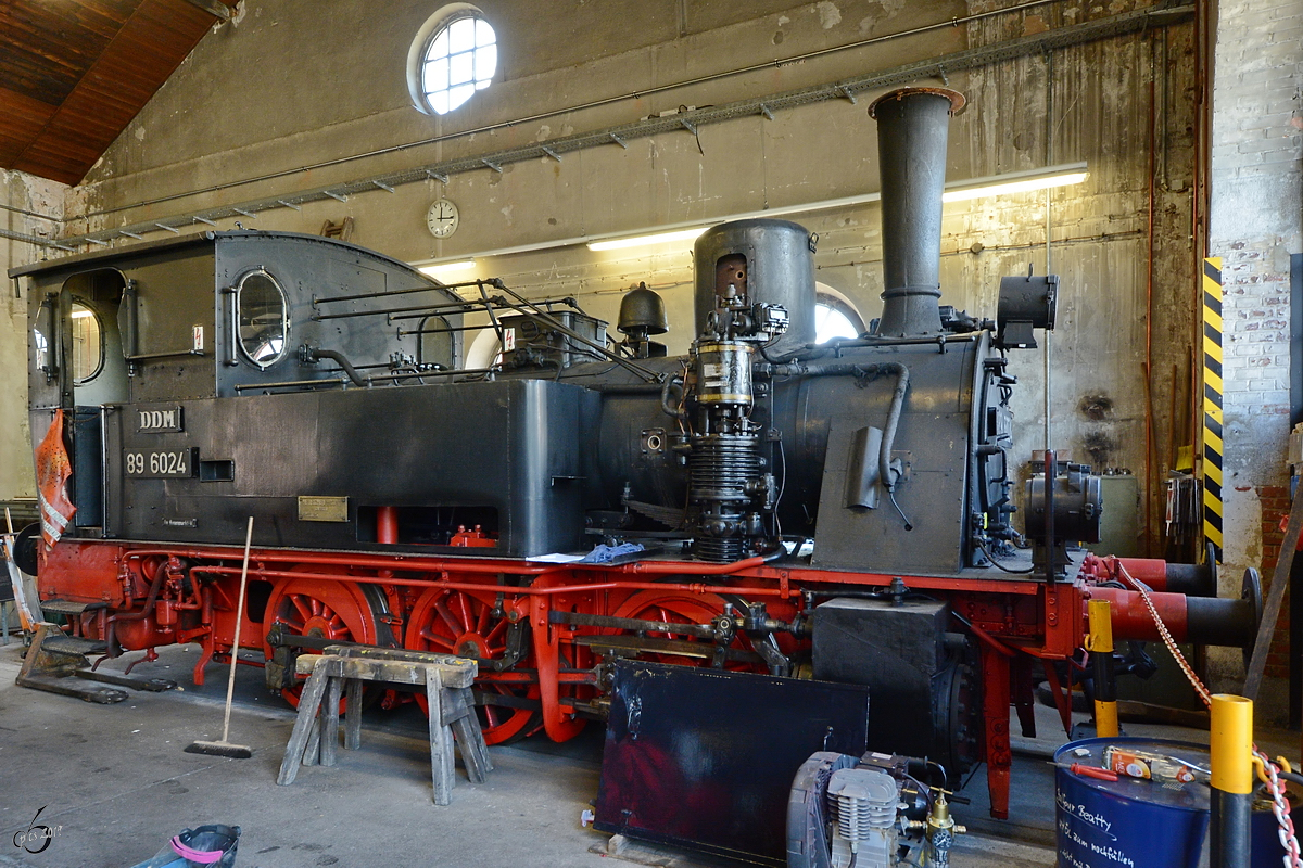 Die Dampflokomotive 89 6024 wurde 1914 gebaut und wird hier wohl farblich etwas aufgefrischt. (Deutsches Dampflokomotiv-Museum Neuenmarkt-Wirsberg, Juni 2019)