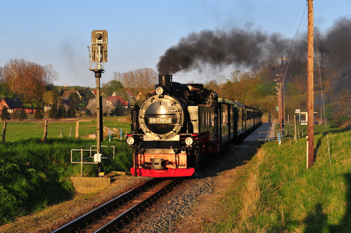 Die Dampflokomotive 98 1781-6 der Rügensche Bäder Bahn „Rasender Roland“ Baujahr 1953 bei LKM, Babelsberg, Leistung 650PS am Haltepunkt Serams am 06.05.2016
