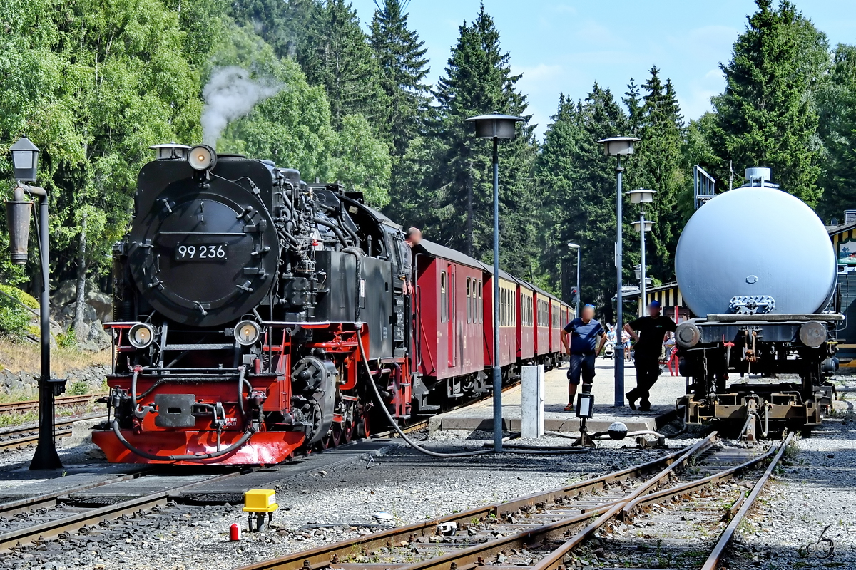 Die Dampflokomotive 99 236 beim Wasserfassen im Bahnhof Schierke. (August 2018)