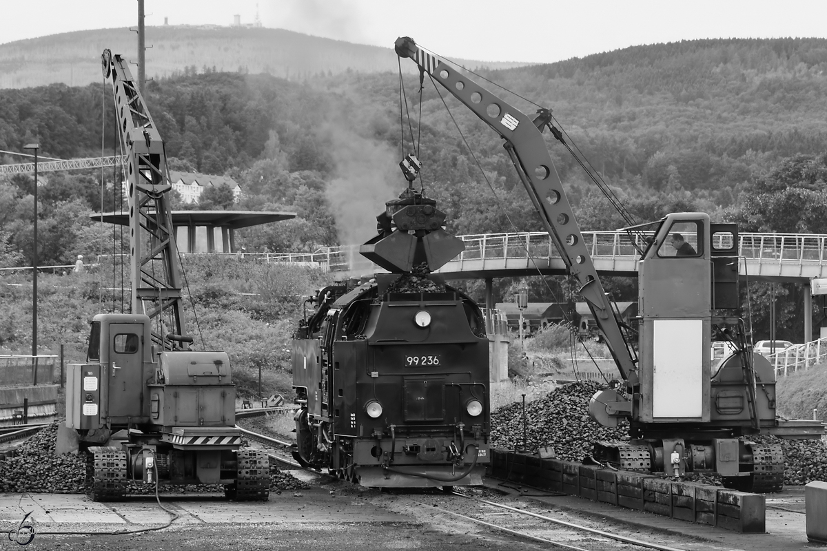 Die Dampflokomotive 99 236 wird bekohlt. (Wernigerode, August 2018)