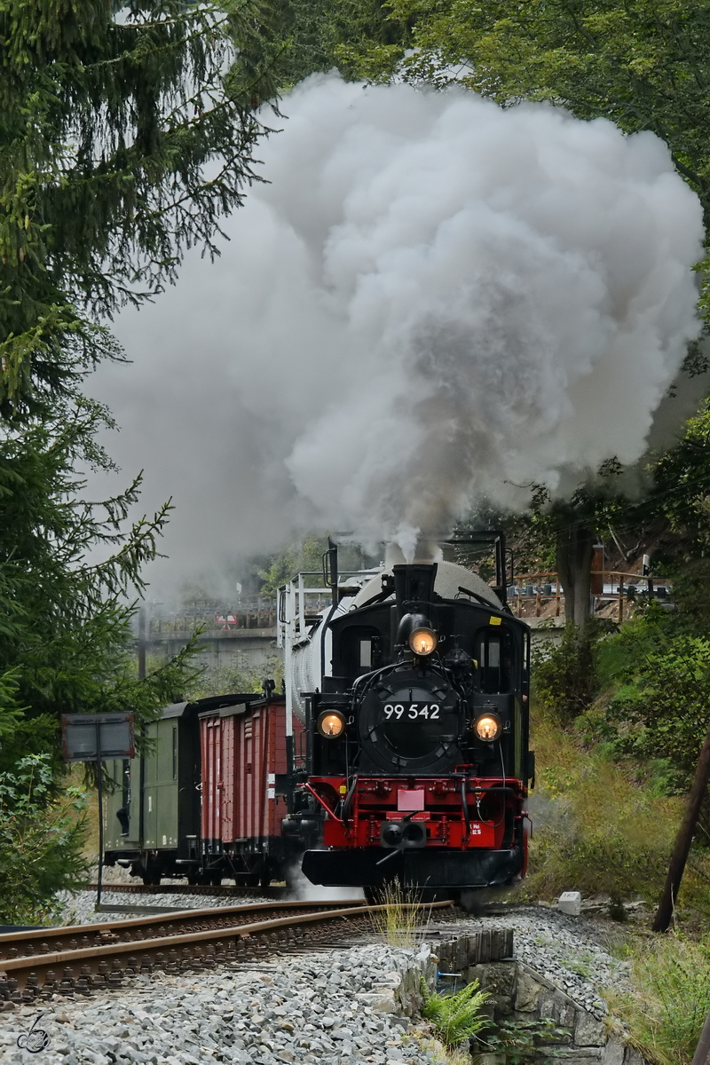 Die Dampflokomotive 99 542 auf der Strecke zwischen Steinbach und Schmalzgrube. (September 2020)
