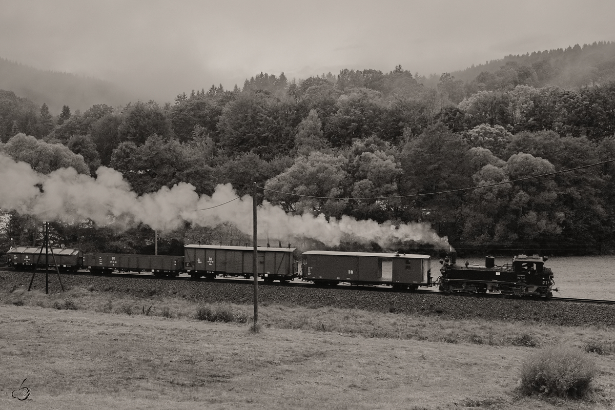 Die Dampflokomotive 99 542 zieht einen Güterzug in Richtung Steinbach. (Schmalzgrube, September 2020)