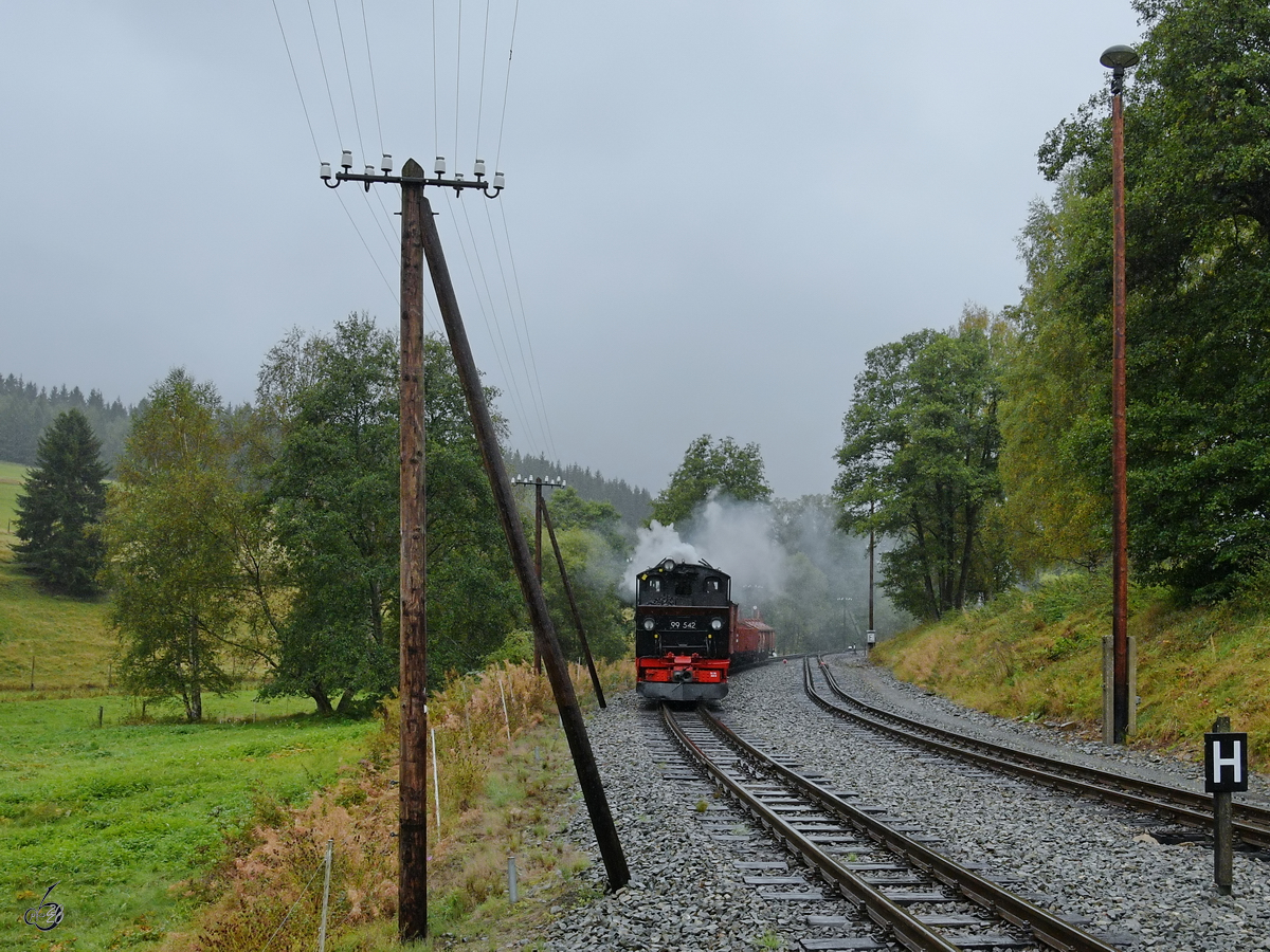 Die Dampflokomotive 99 542 zieht einen Güterzug in Richtung Schlössel, so gesehen Ende  September 2020 in der Nähe der Fahrzeughalle der Pressnitztalbahn in Jöhstadt.