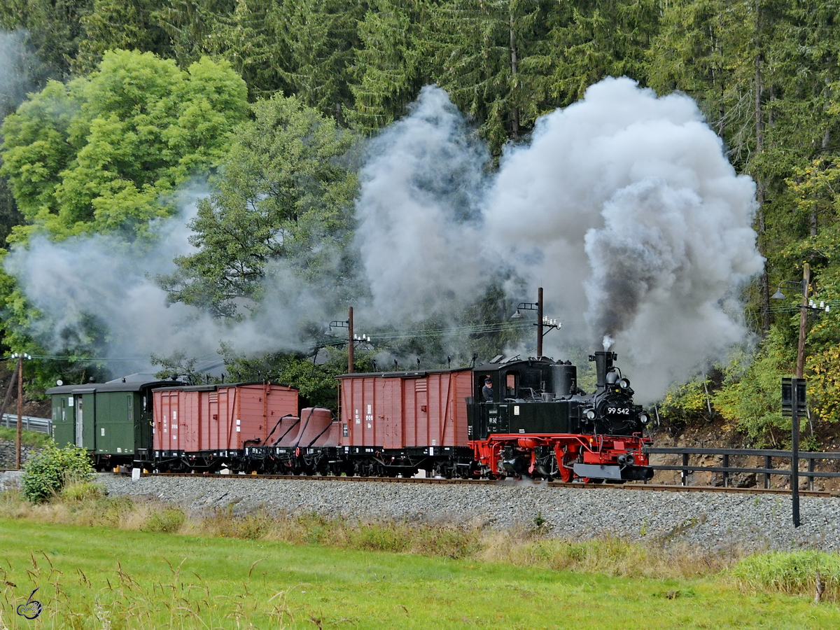 Die Dampflokomotive 99 542 zieht einen Güterzug in Richtung Schmalzgrube, abgelichtet in der Nähe der Haltestelle Forellenhof. (September 2020)