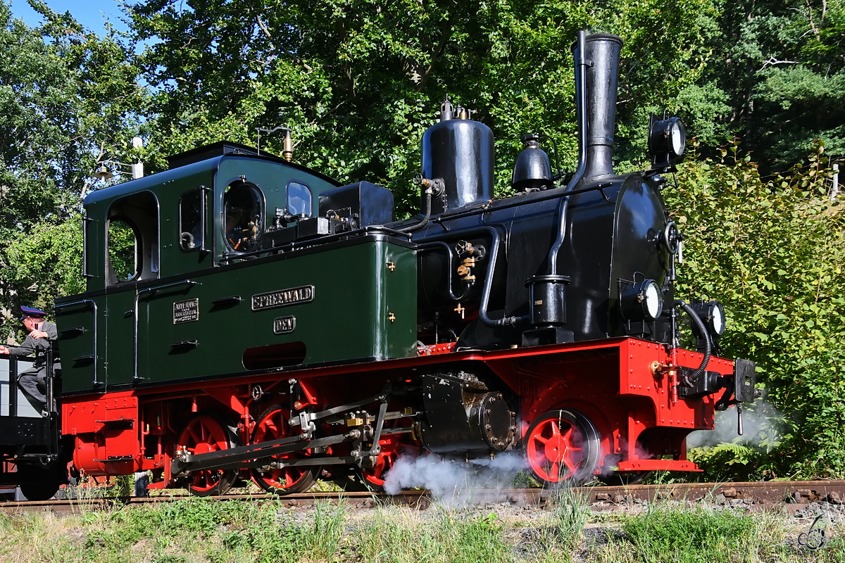 Die Dampflokomotive  Spreewald  schnauft den Berg hinab. (Bahnhof Hüinghausen, Juli 2022)