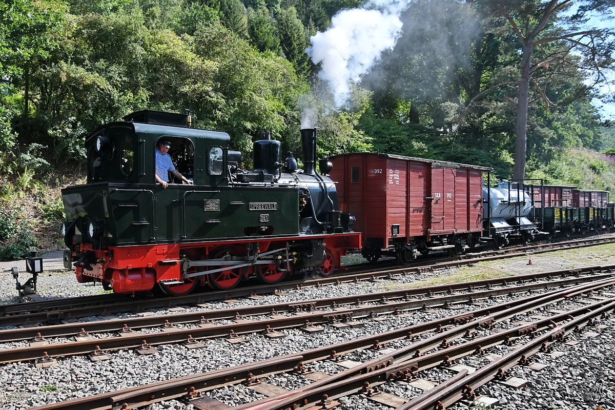 Die Dampflokomotive  Spreewald  startet gerade mit einem Güterzug vom Bahnhof in Hüinghausen. (Juli 2022)