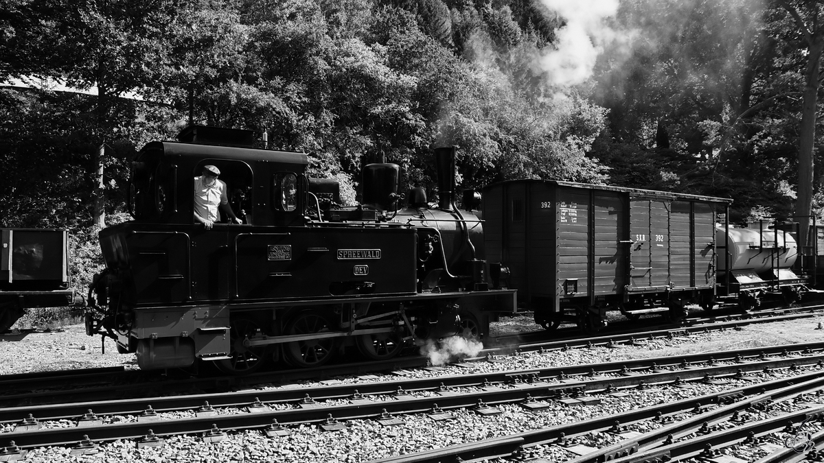 Die Dampflokomotive  Spreewald  wurde anlässlich des 40-jährigen Jubiläums der Märkischen Museums-Eisenbahn auch vor einem Güterzug gespannt. (Bahnhof Hüinghausen, Juli 2022)